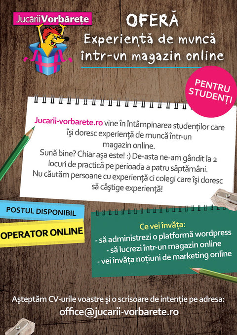 Experienta de munca intr-un magazin online