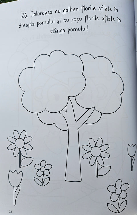 Invatam impreuna: forme, marimi, culori, orientare in timp si spatiu