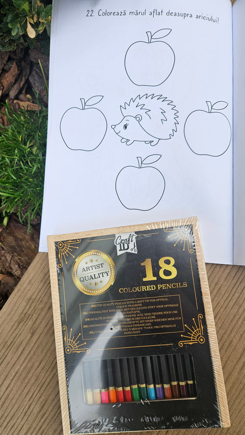 Invatam impreuna: forme, marimi, culori, orientare in timp si spatiu