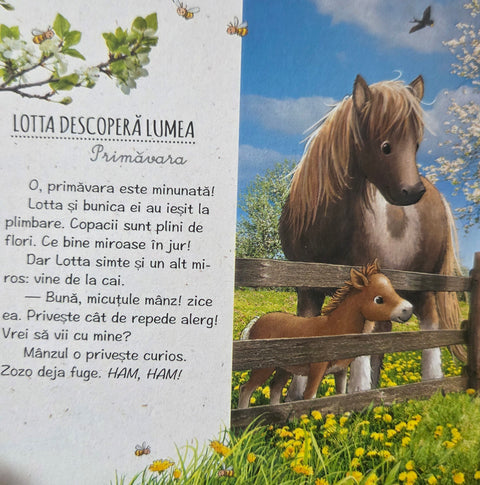 Lotta descopera anotimpurile