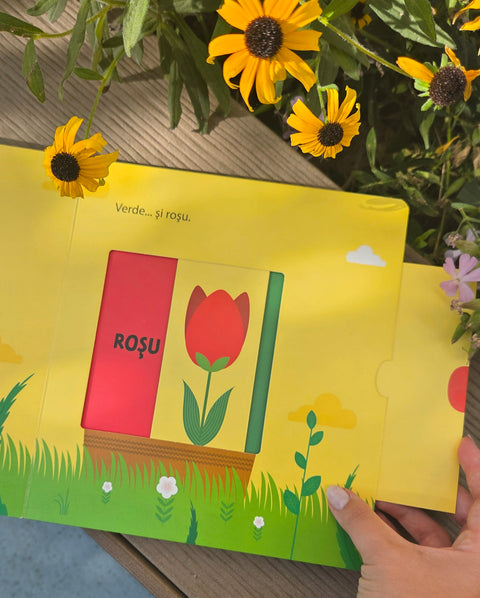 Acopar si descopar - Culori