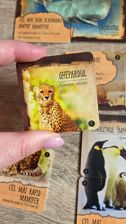 Joc de memorie educativ - Animale. Smart Memo