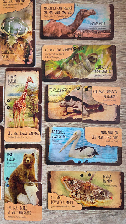 Joc de memorie educativ - Animale. Smart Memo