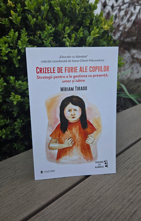 Crizele de furie ale copiilor
