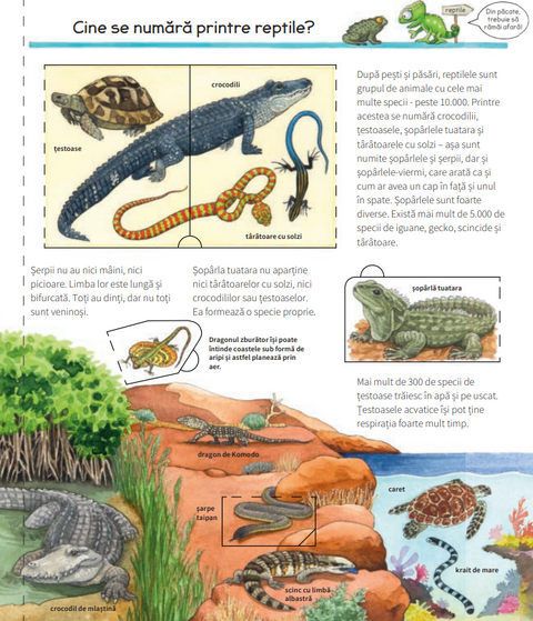Totul despre reptile Colectia De ce? De ce? De ce?