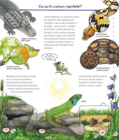 Totul despre reptile Colectia De ce? De ce? De ce?