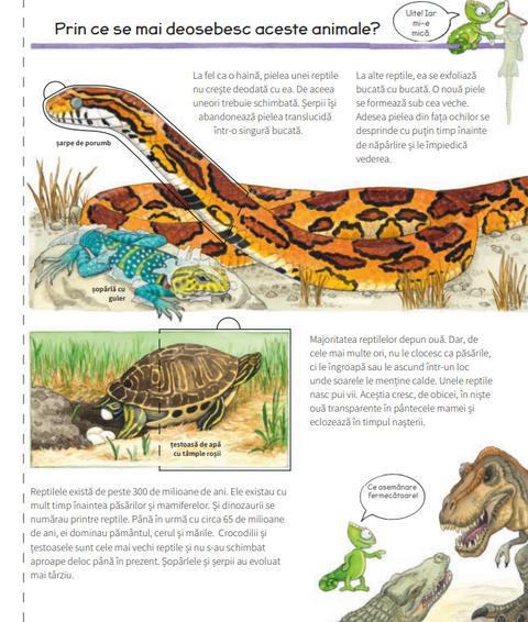 Totul despre reptile Colectia De ce? De ce? De ce?