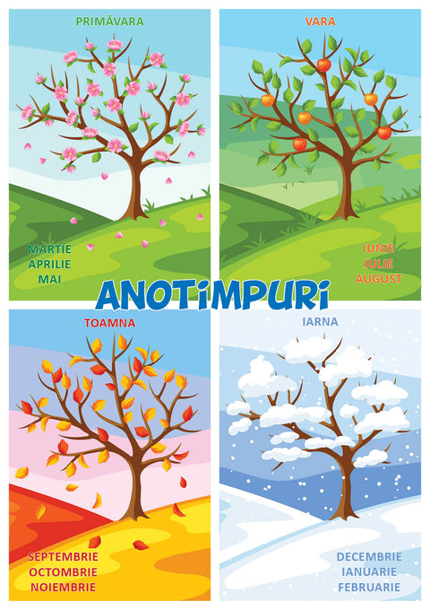 ANOTIMPURI – Puzzle pentru podea