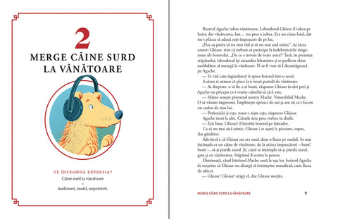 Alte 15 expresii romanesti