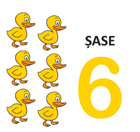 Cifre si culori - carte pliata. 0 - 2 ani