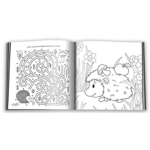 Colectia Imi Place – Carti de Colorat pentru Prescolari