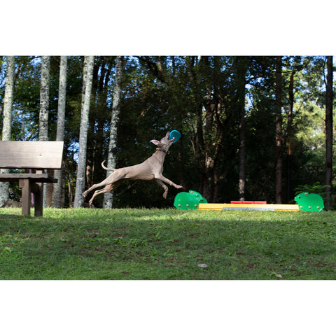 Disc zburator pentru caini - Waboba Jetwag frisbee