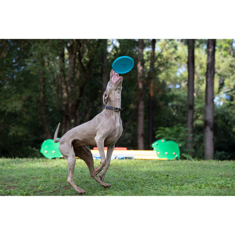 Disc zburator pentru caini - Waboba Jetwag frisbee