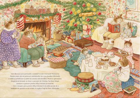 Familia Motanila si Cele patru Anotimpuri