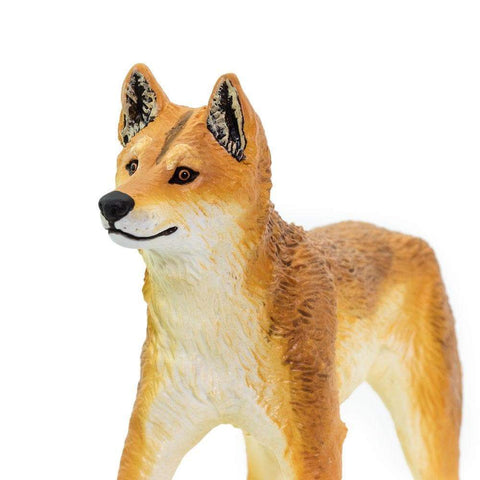 Figurina Safari. Caine dingo