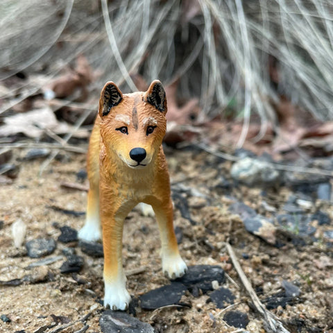 Figurina Safari. Caine dingo