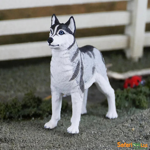 Figurina Safari. Husky siberian