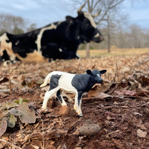 Figurina Safari. Vitel Holstein