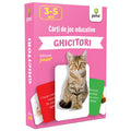 Ghicitori. Carti de Joc Educative