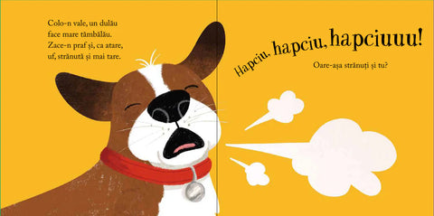 Hapciu, hapciu, hapciu!