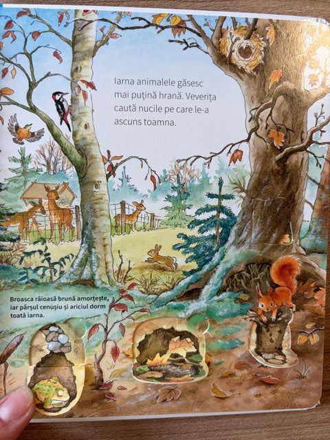 Ce facem iarna? Colectia De ce? De ce? De ce?