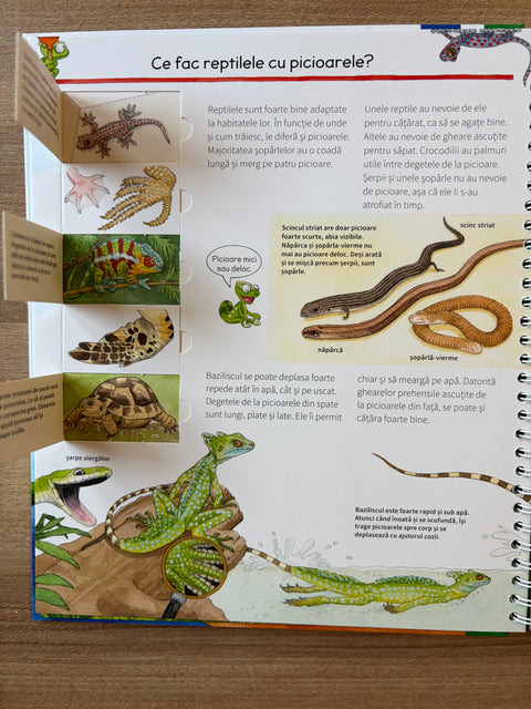 Totul despre reptile Colectia De ce? De ce? De ce?