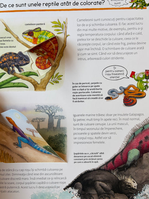 Totul despre reptile Colectia De ce? De ce? De ce?