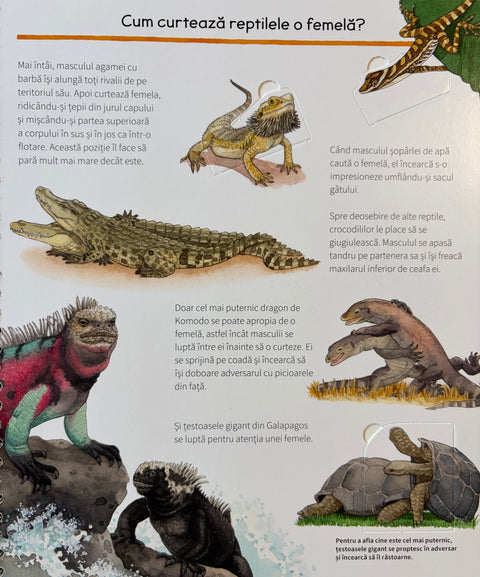 Totul despre reptile Colectia De ce? De ce? De ce?