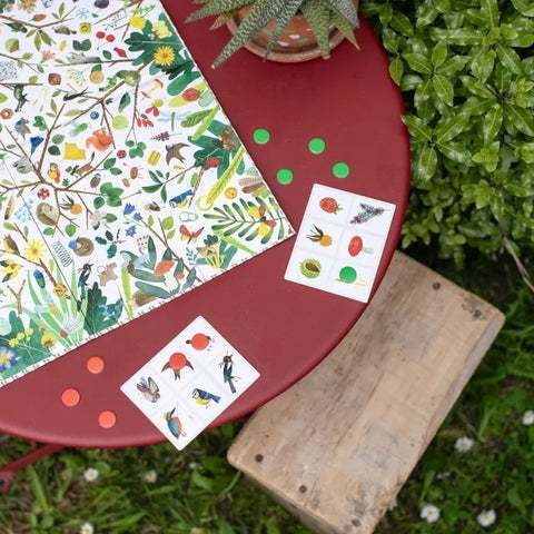 Joc de observatie Comorile gradinii, Moulin Roty