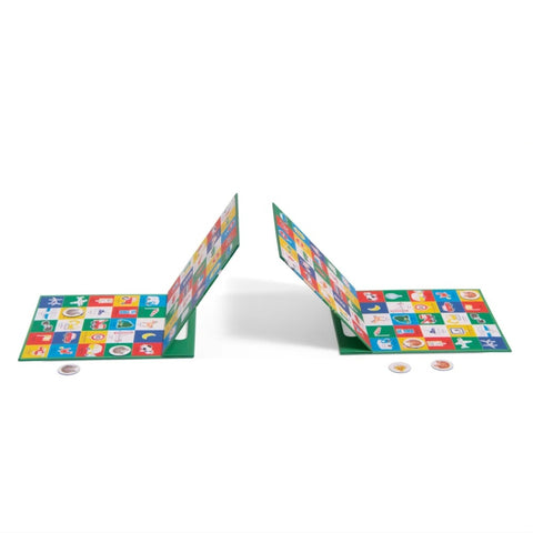 Joc magnetic de observatie, Moulin Roty