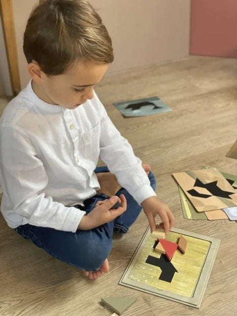 Jocuri magnetice Tangram, Egmont Toys