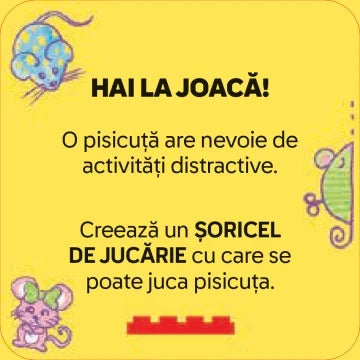 LEGO RECREATE-  Jetoane cu activitati. Animalute