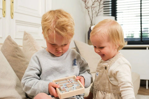 Labirint din lemn cu bila. Egmont Toys