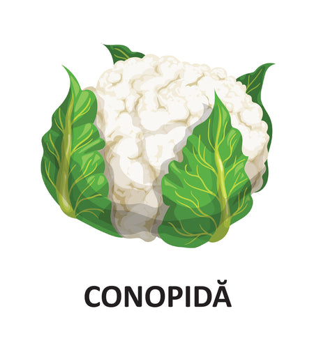 Legume - carte pliata. 0 - 2 ani