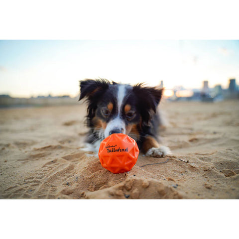 Minge hiper saritoare pentru caini - Waboba Tailwind