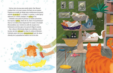 Libraria cu pisici. Motanul care facea pe seful