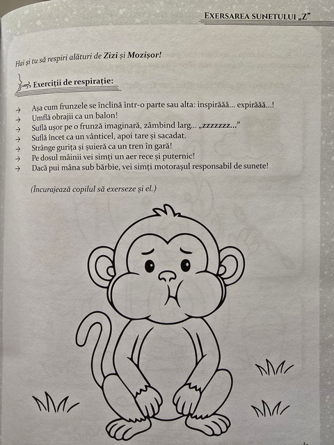 Pachet Zebra Zizi si exersarea sunetului „Z”. Prietenii Sunetelor Poznase
