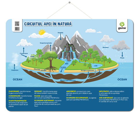 Postere Educationale pentru Geografie