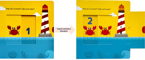 Acopar si Descopar - Numere