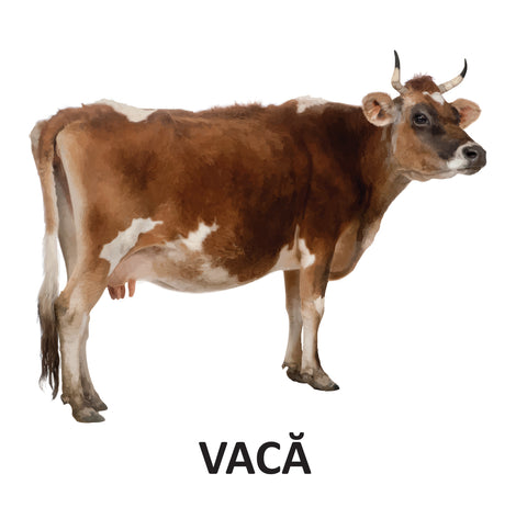 Animale domestice - carte pliata. 0 - 2 ani