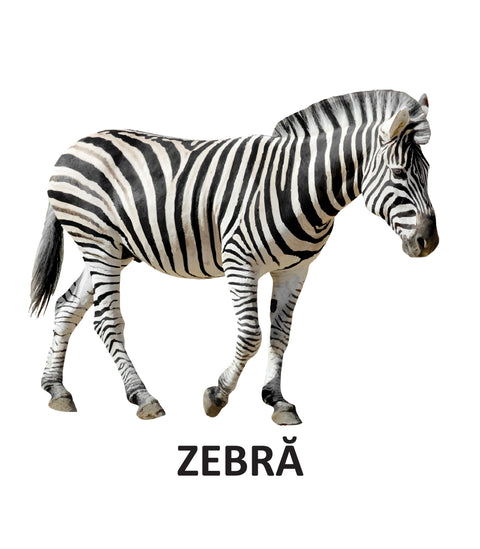 Animale salbatice - carte pliata. 0 - 2 ani