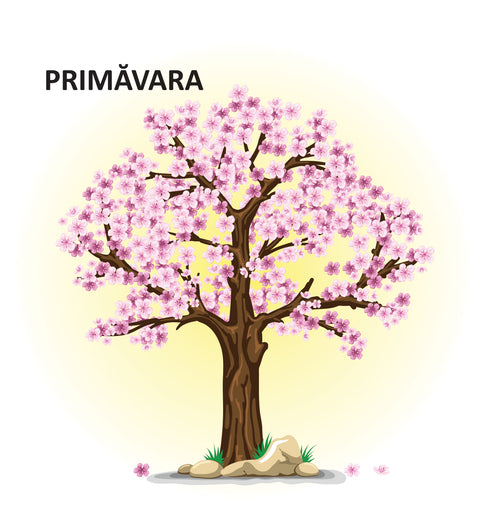 Anotimpurile - carte pliata. 0 - 2 ani