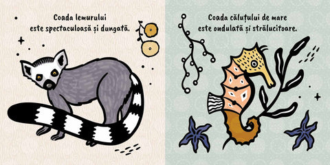 Atinge si simte – Cozi