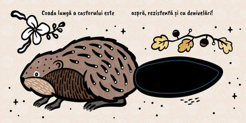 Atinge si simte – Cozi