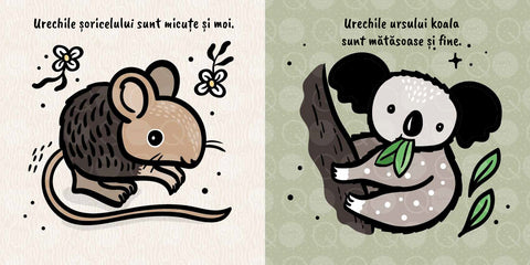 Atinge si simte – Urechi