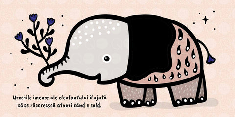 Atinge si simte – Urechi