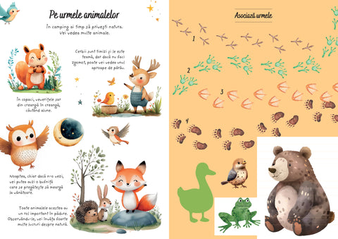 Aventuri la camping - Activitati si abtibilduri