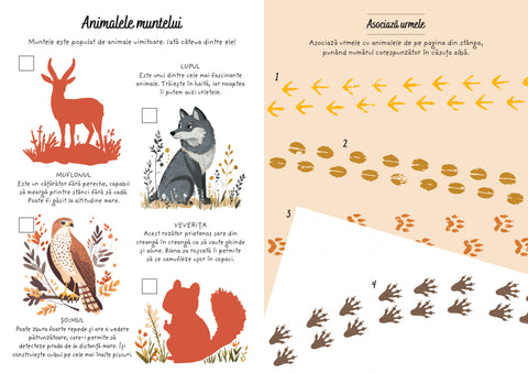 Aventuri la munte - Activitati si abtibilduri