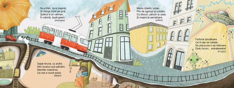 Cine-i? Unde? Cum si ce?  - Ghicitori