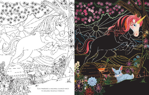 Citeste, razuieste si coloreaza - Unicorni